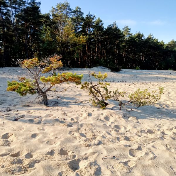 zdjęcie z wizyty w przemkowskim parku krajobrazowym