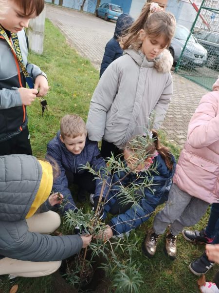 zdjęcie uczni&oacute;w podczas sadzenia drzewek