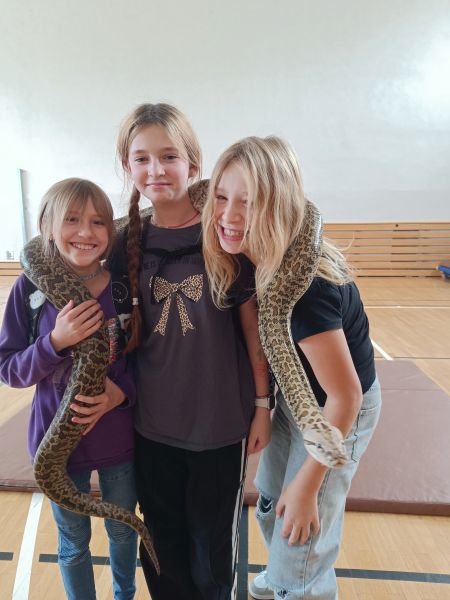 zdjęcie uczni&oacute;w podczas żywej lekcji biologii z gadami