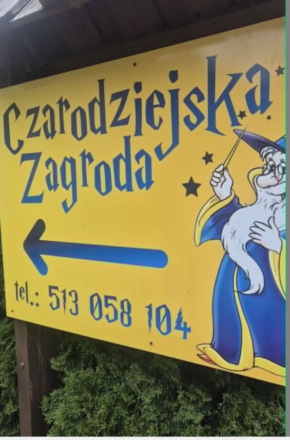 Zdjęcie 1