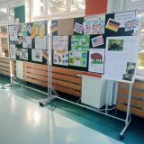 Plakaty prygotowane przez uczniów