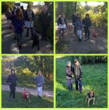 zdjęcie uczniów podczas wycieczki do schroniska