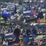 zdjęcie uczniów podczas akcji szkoła pamięta