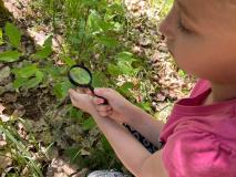 warsztaty przyrodnicze