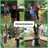 przytul się do drzewa 2024