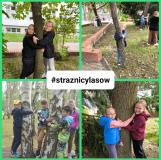 przytul się do drzewa 2024