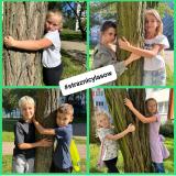 przytul się do drzewa 2024