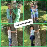 przytul się do drzewa 2024