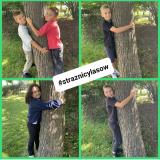 przytul się do drzewa 2024