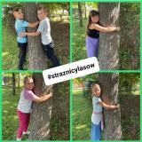 przytul się do drzewa 2024