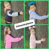 przytul się do drzewa 2024