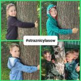 przytul się do drzewa 2024