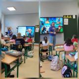 żółwie