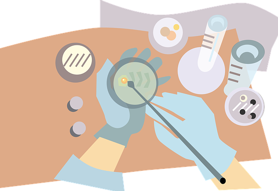 grafika przedstawiająca eksperyment