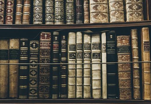 grafika przedstawiająca półkę z książkami