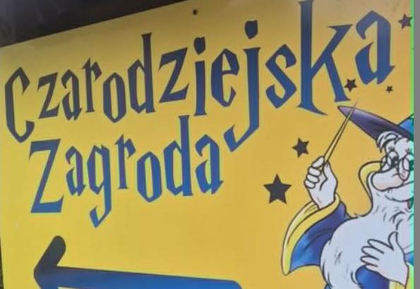 Zdjęcie 1