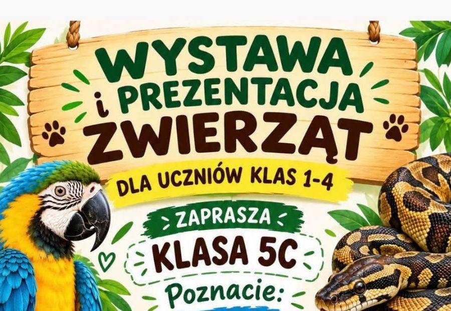 Zdjęcie 1
